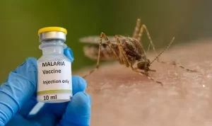 Malaria-vaccine-1501995-1.webp-300x178.webp