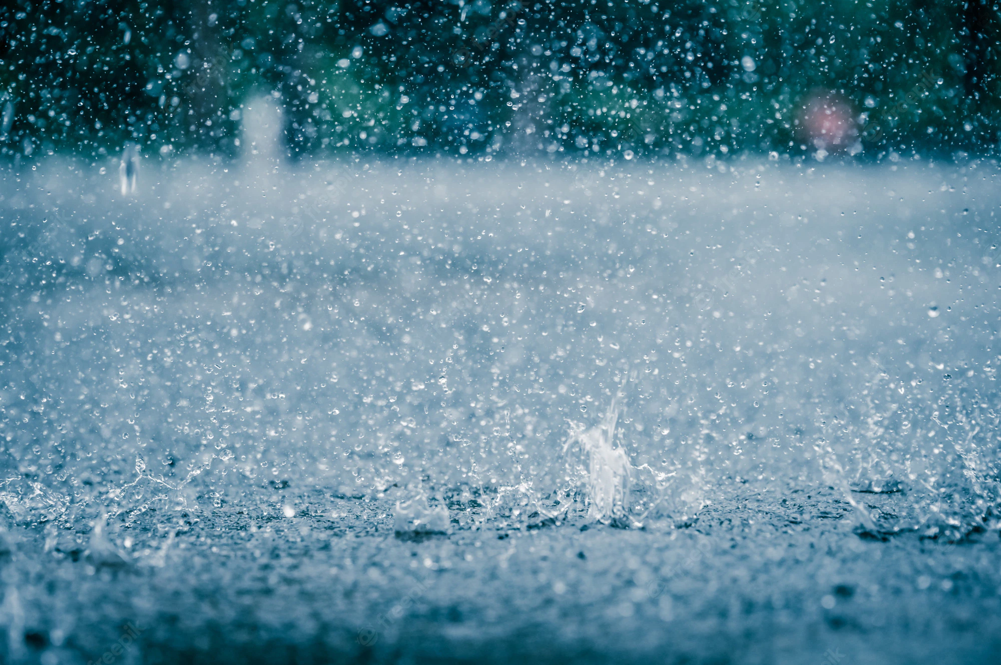 rain.webp.webp