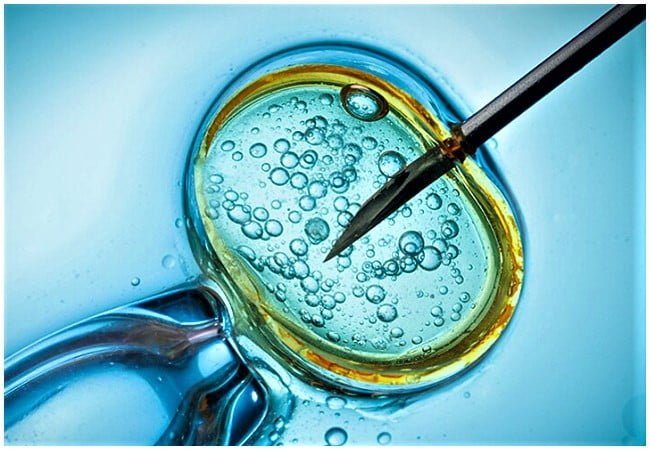 Pre-implantation-Genetic-Testing.-Image-source-Parents.jpg