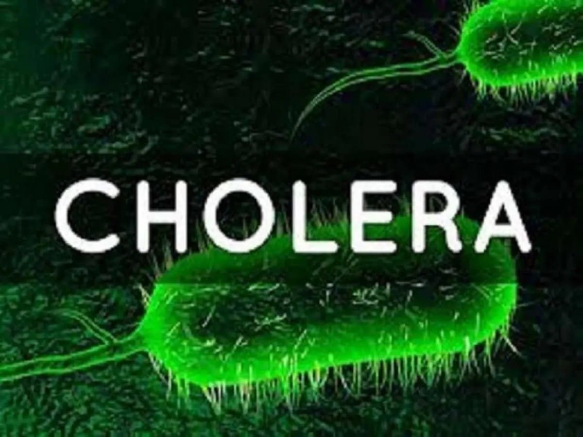Cholera.webp.jpeg