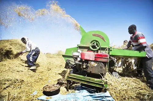 Farmers-machine-winnowing.jpg
