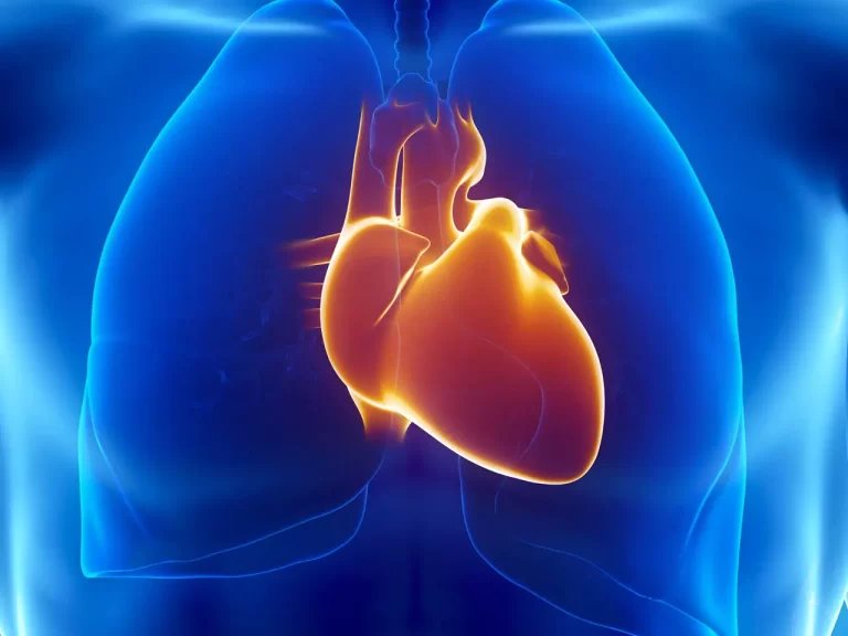 what-heart-scan-results-mean.jpg