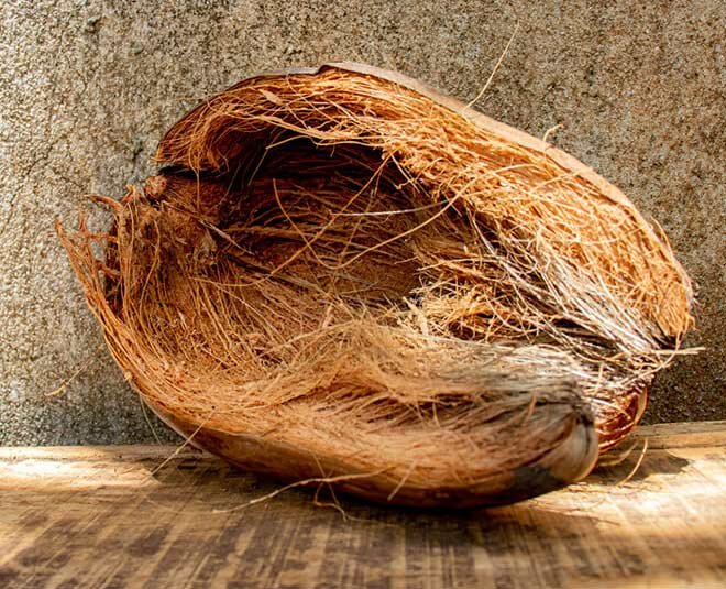 coconut-husk.jpg