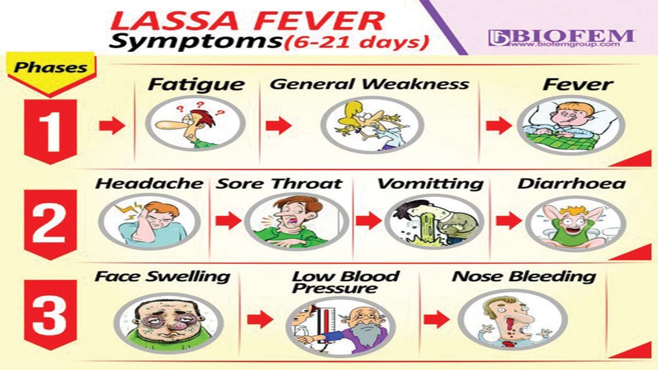 lassa-fever.jpg