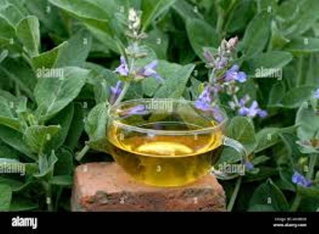 Sage-Tea.jpg
