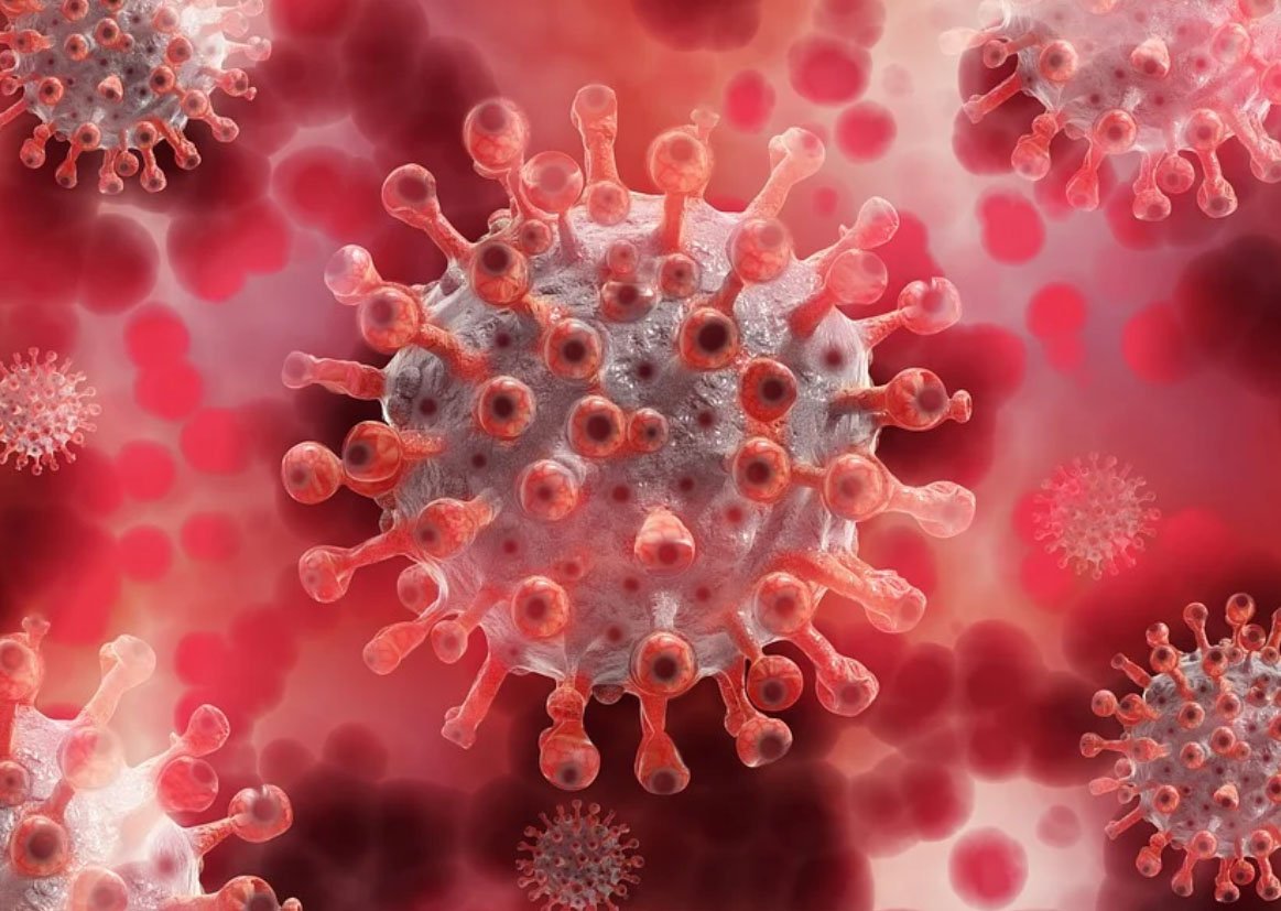 covid-corona-virus.jpg