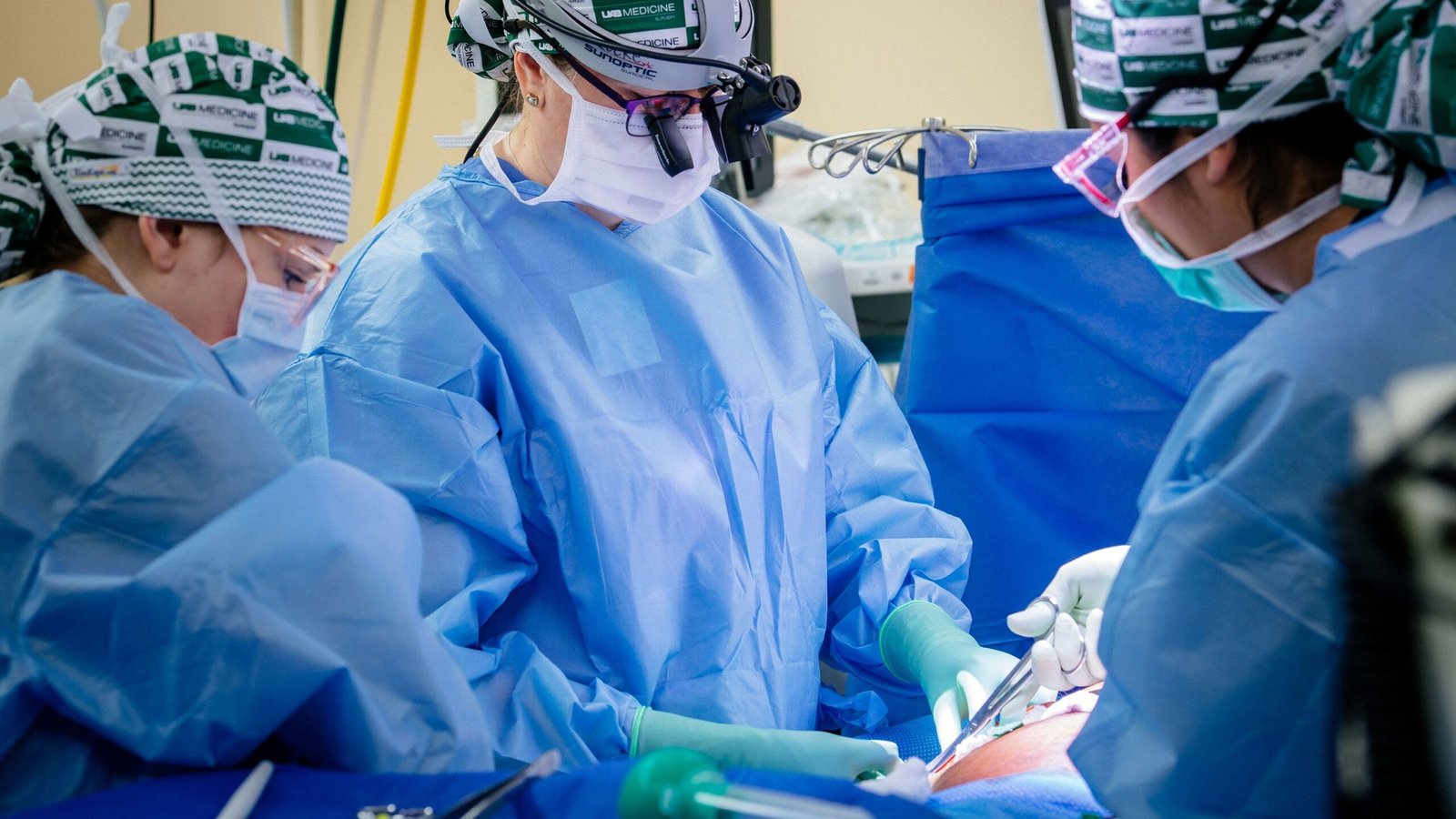 pig-kidney-transplant-scaled.jpg