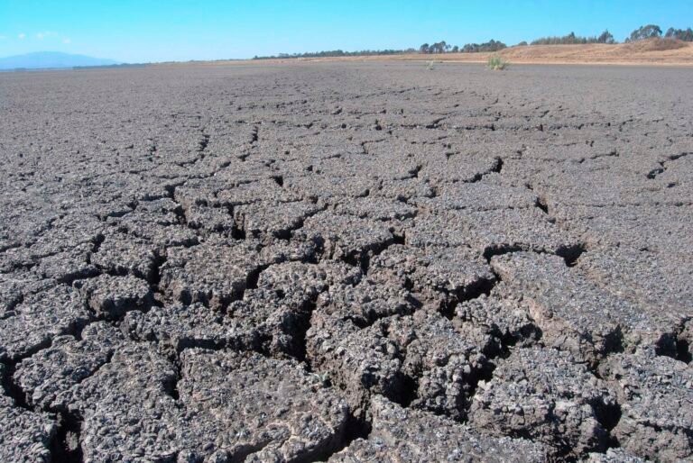 dry-area-data.jpg