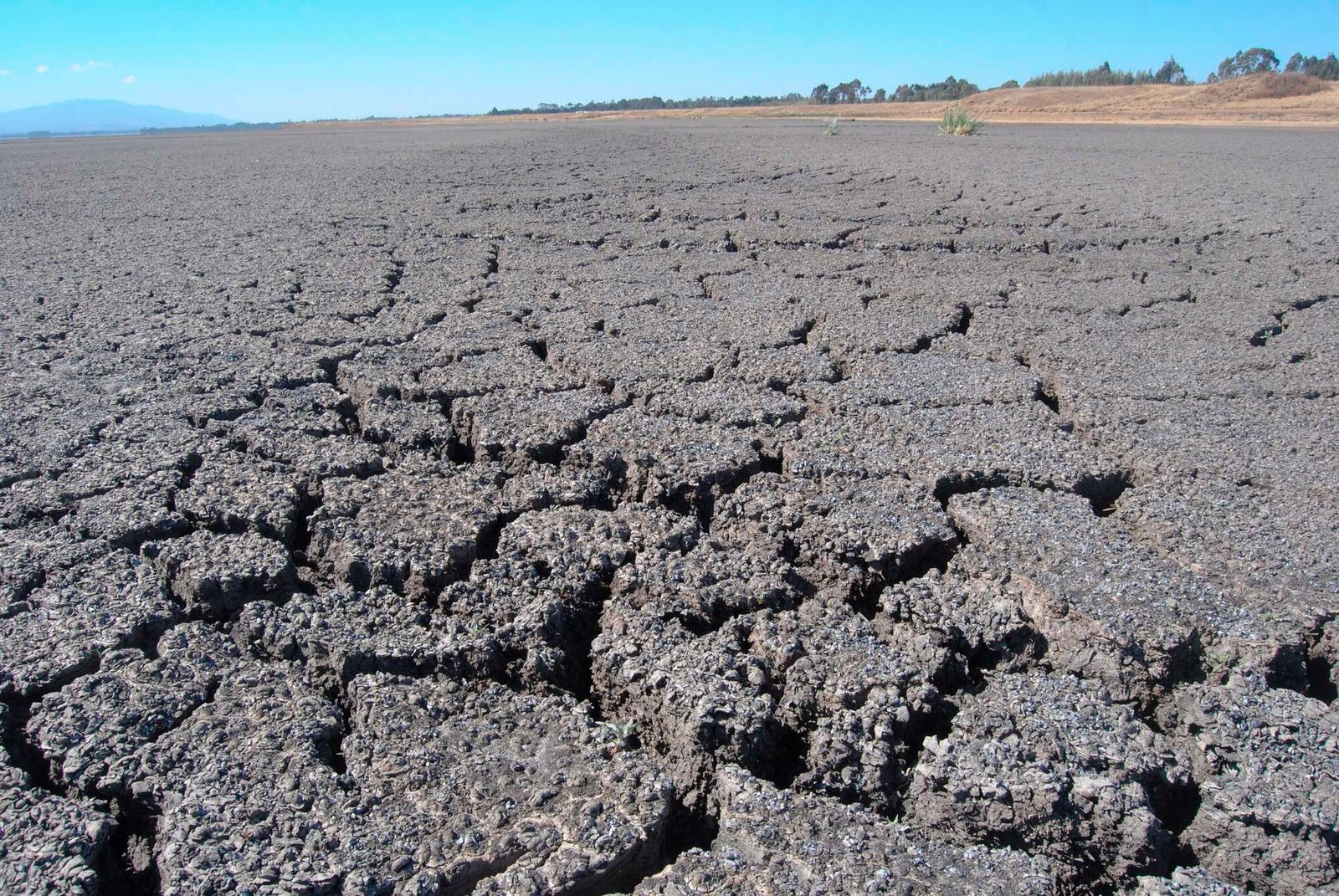 dry-area-data.jpg