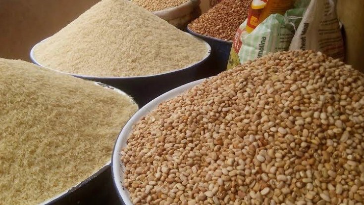 Katsina feeding citizens with grains