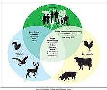 zoonotic