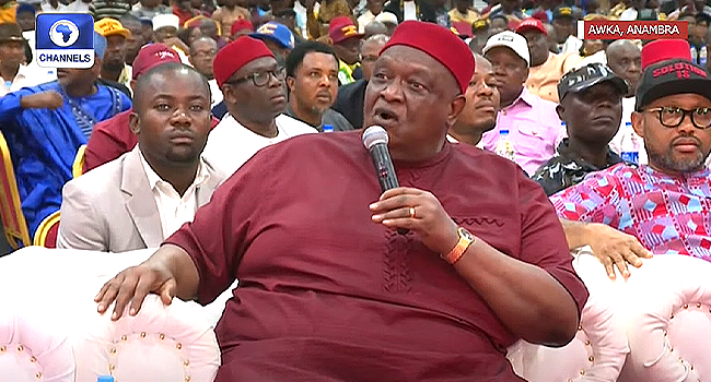 Ohanaeze-Ndigbo-Emmanuel-Iwuanyanwu