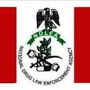 ndlea2