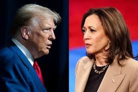 trump and Harris